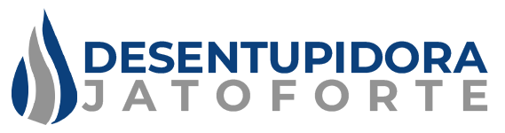 Desentupidora Jato Forte